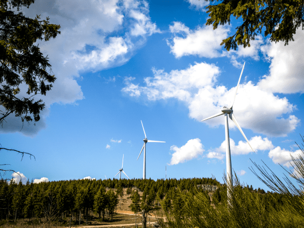 Photo en couleurs, illustrant un espace vert, 3 éoliennes et un ciel bleu.